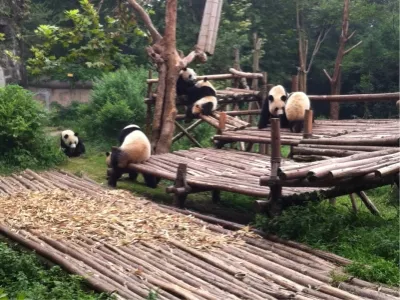 Chengdu travel guide